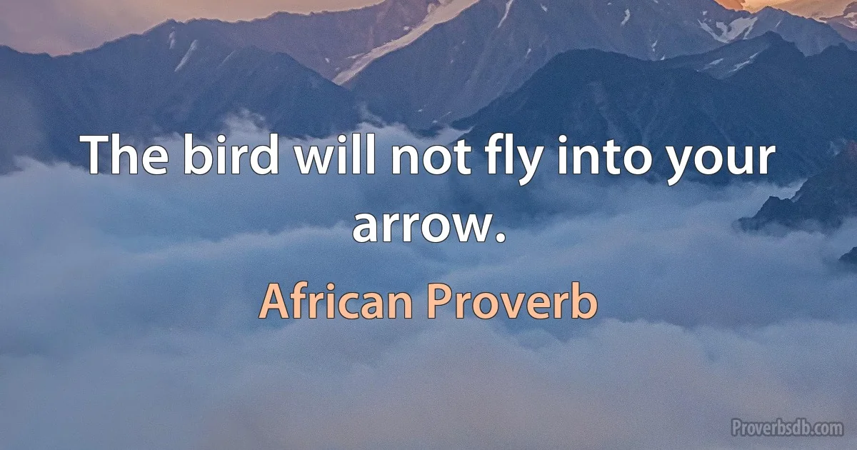 The bird will not fly into your arrow. (African Proverb)