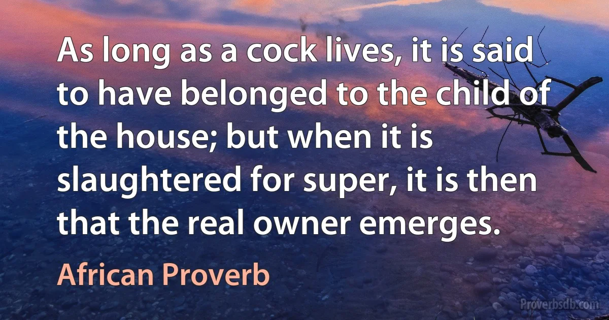 As long as a cock lives, it is said to have belonged to the child of the house; but when it is slaughtered for super, it is then that the real owner emerges. (African Proverb)