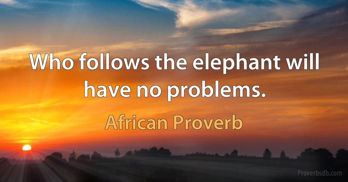 Who follows the elephant will have no problems. (African Proverb)