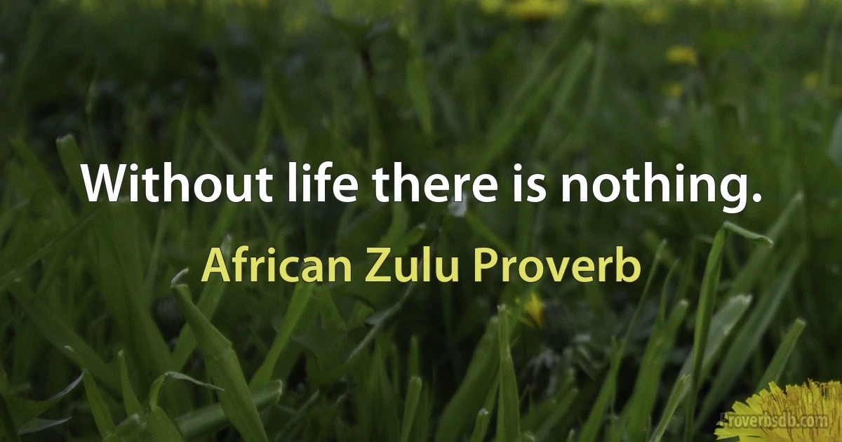 Without life there is nothing. (African Zulu Proverb)