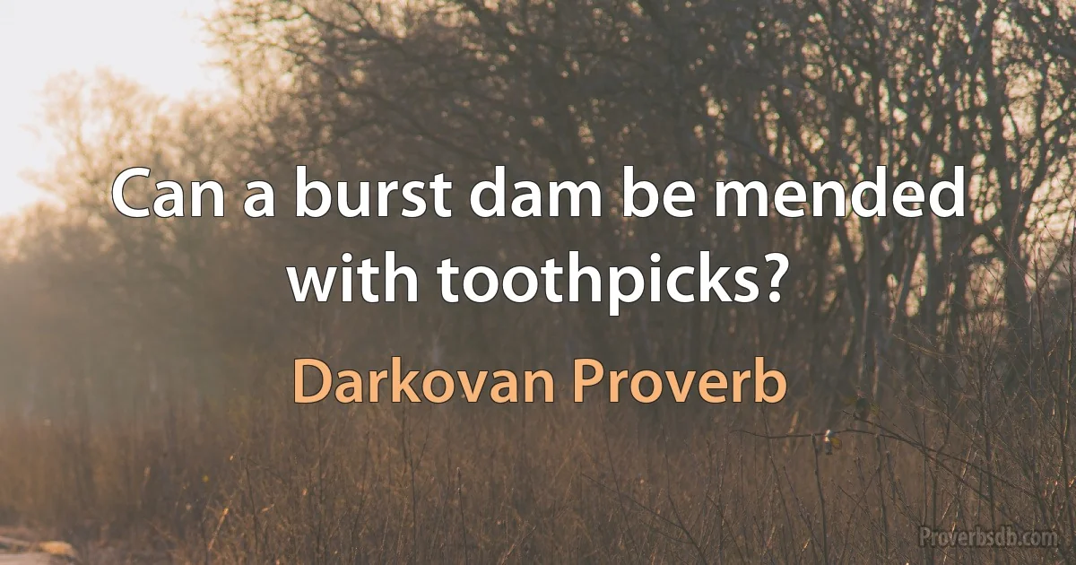 Can a burst dam be mended with toothpicks? (Darkovan Proverb)