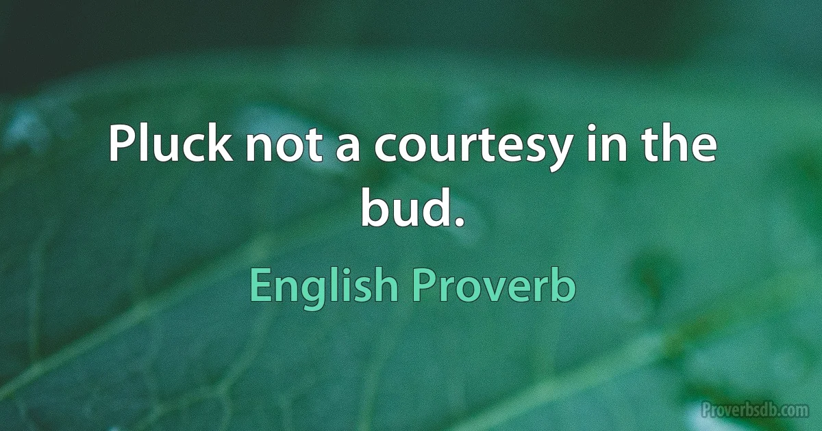 Pluck not a courtesy in the bud. (English Proverb)