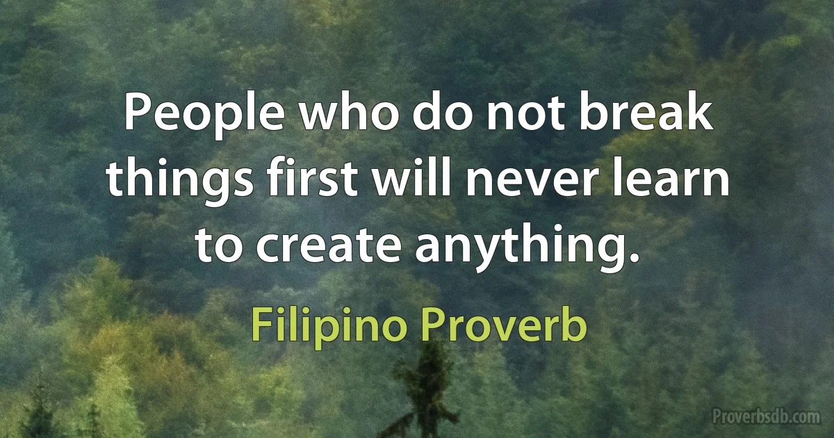 People who do not break things first will never learn to create anything. (Filipino Proverb)