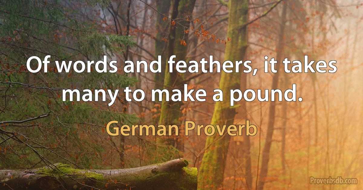 Of words and feathers, it takes many to make a pound. (German Proverb)