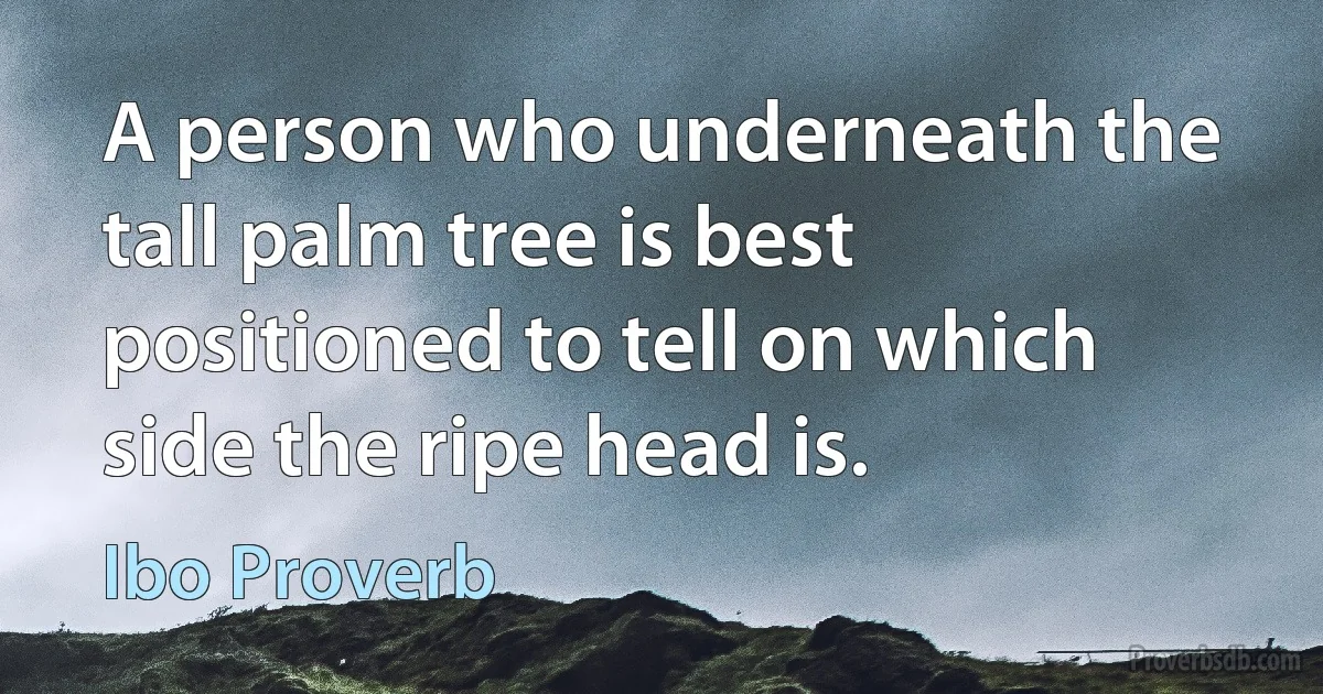 A person who underneath the tall palm tree is best positioned to tell on which side the ripe head is. (Ibo Proverb)