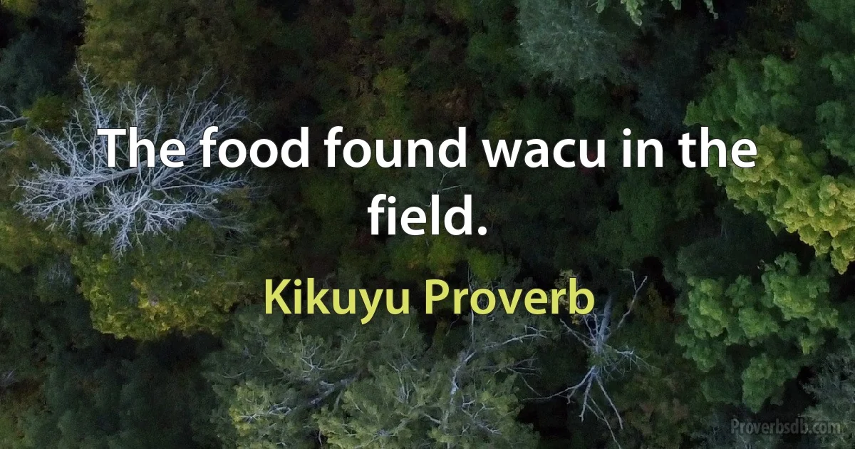 The food found wacu in the field. (Kikuyu Proverb)