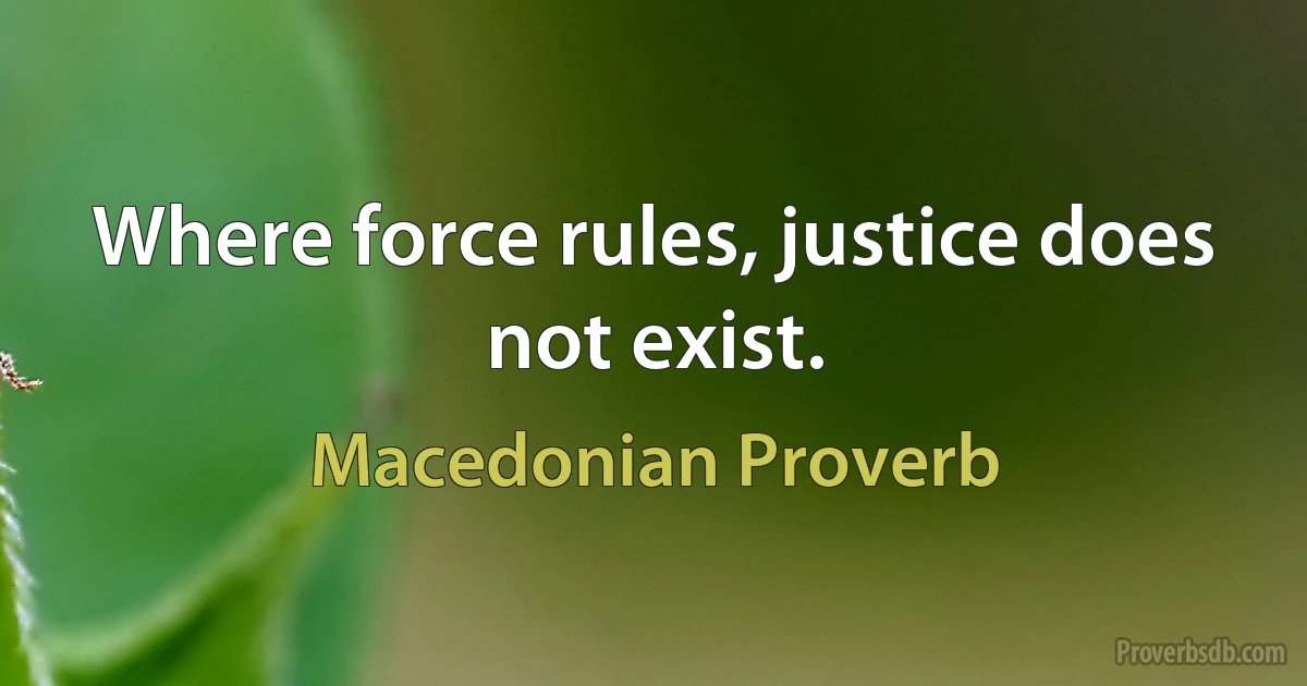 Where force rules, justice does not exist. (Macedonian Proverb)