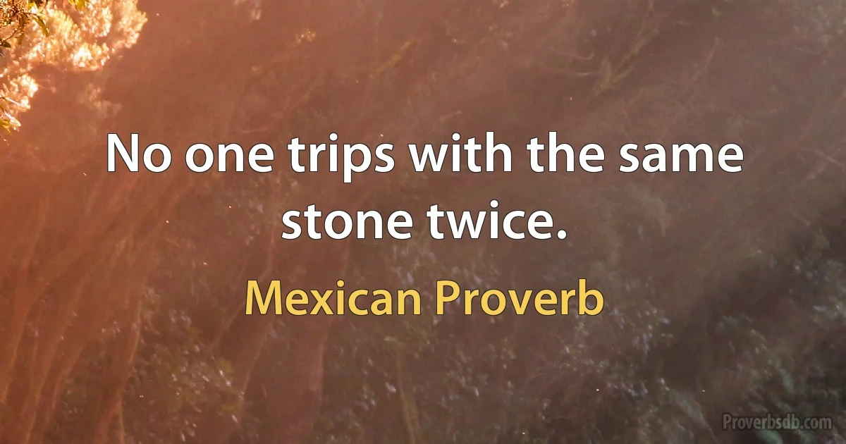 No one trips with the same stone twice. (Mexican Proverb)