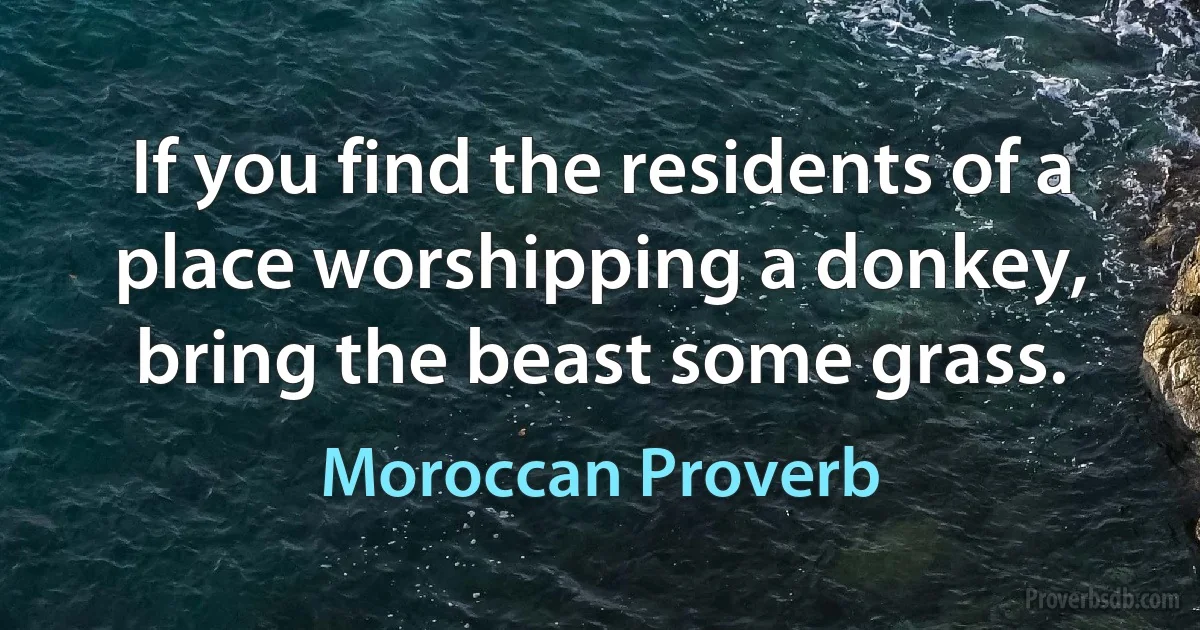 If you find the residents of a place worshipping a donkey, bring the beast some grass. (Moroccan Proverb)