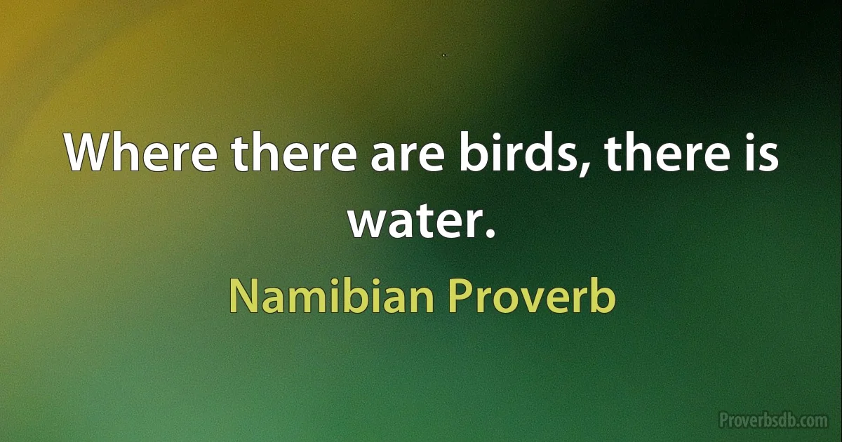 Where there are birds, there is water. (Namibian Proverb)