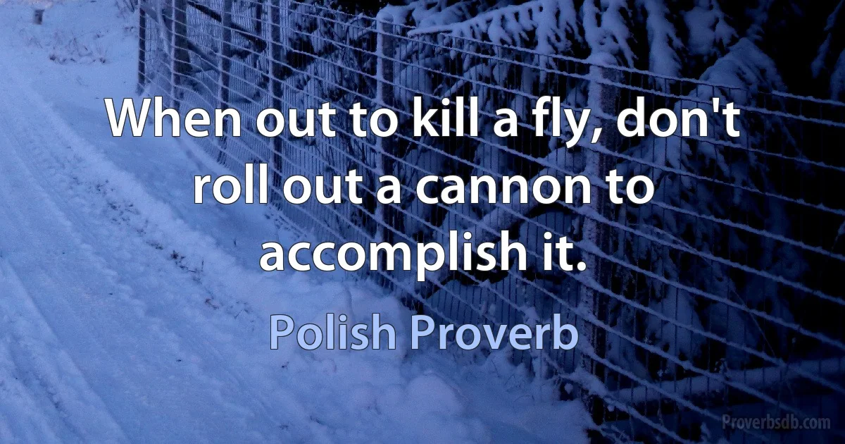 When out to kill a fly, don't roll out a cannon to accomplish it. (Polish Proverb)