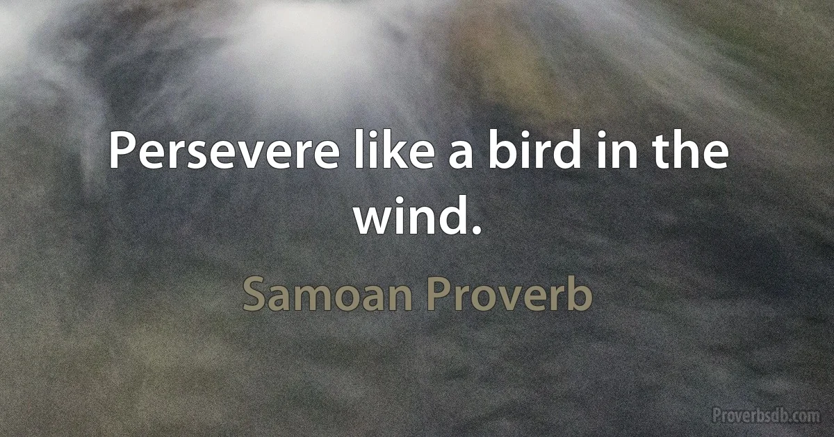 Persevere like a bird in the wind. (Samoan Proverb)