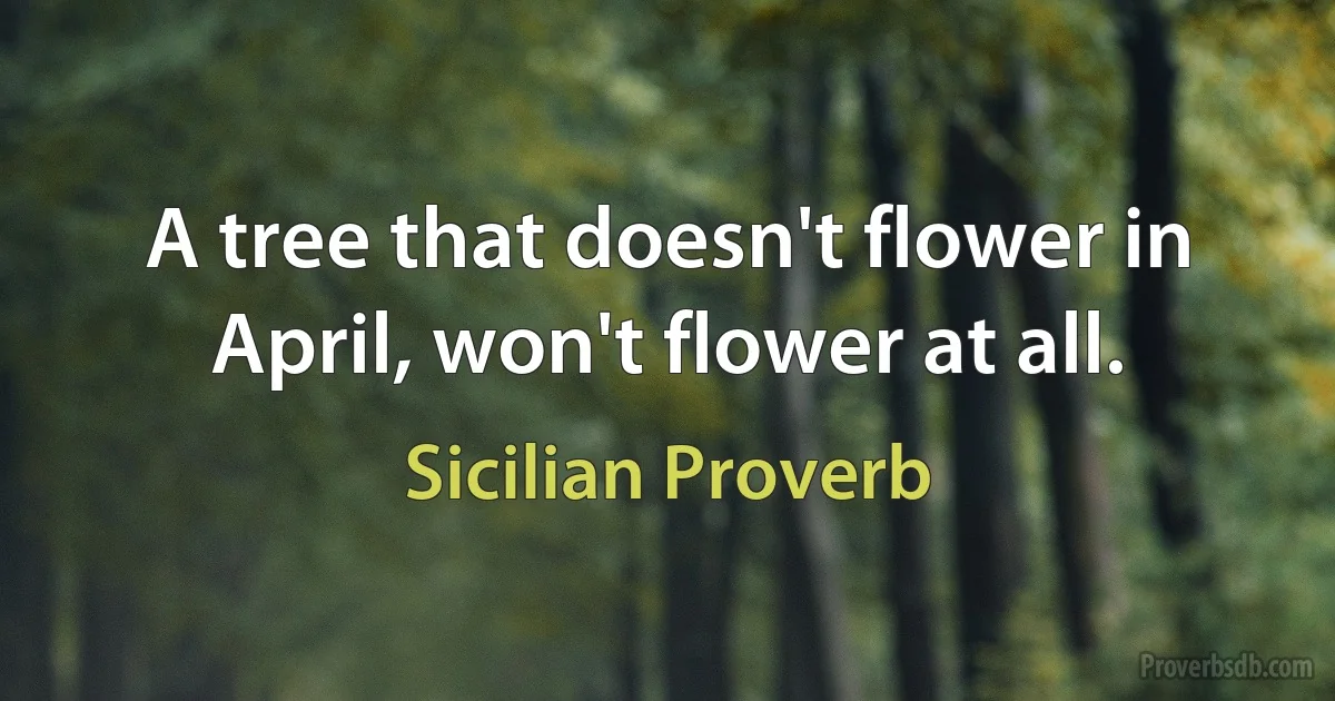 A tree that doesn't flower in April, won't flower at all. (Sicilian Proverb)