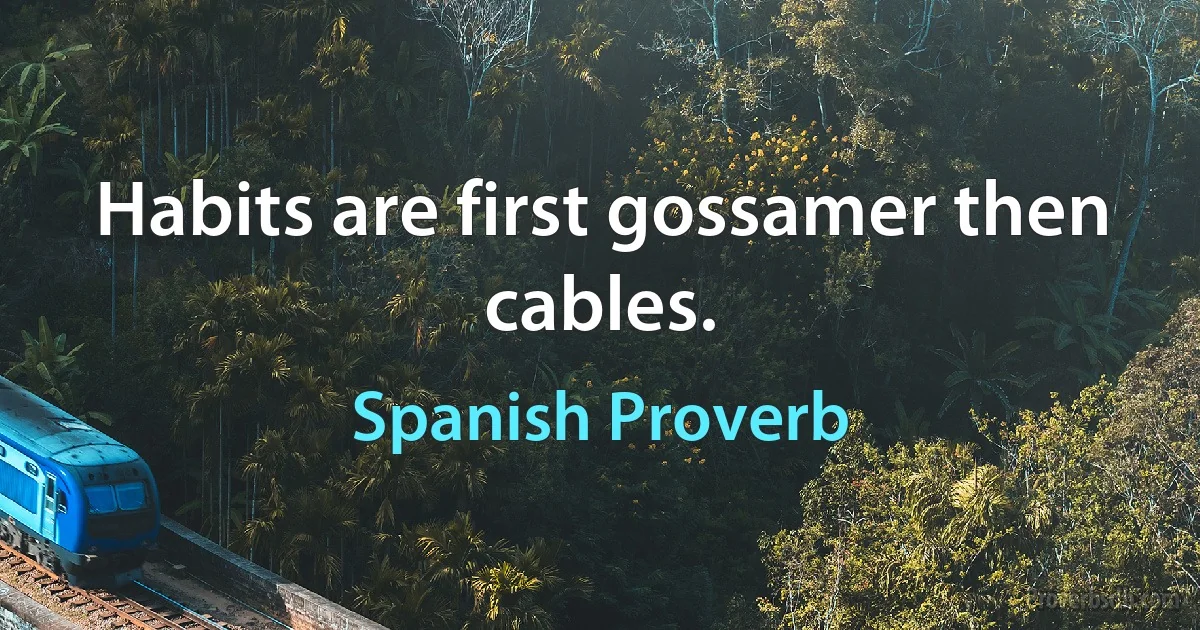 Habits are first gossamer then cables. (Spanish Proverb)