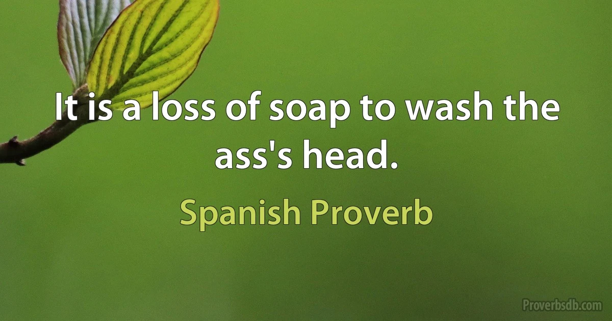 It is a loss of soap to wash the ass's head. (Spanish Proverb)