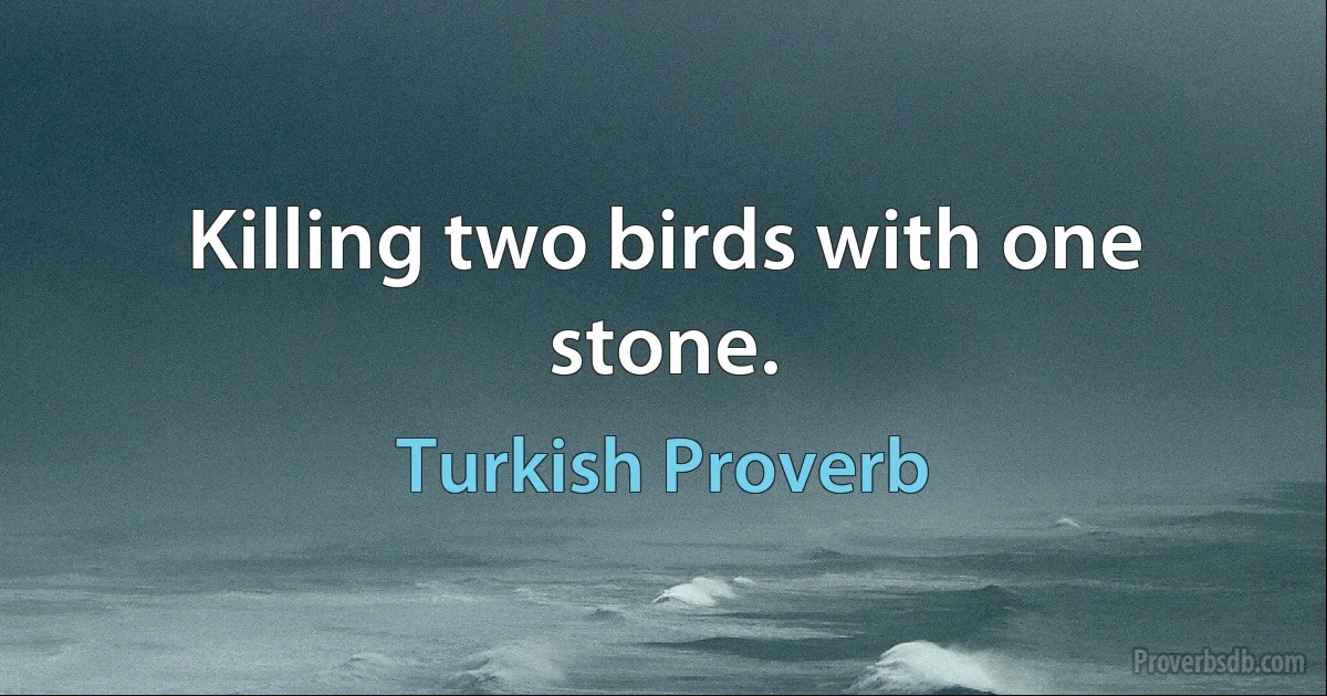 Killing two birds with one stone. (Turkish Proverb)