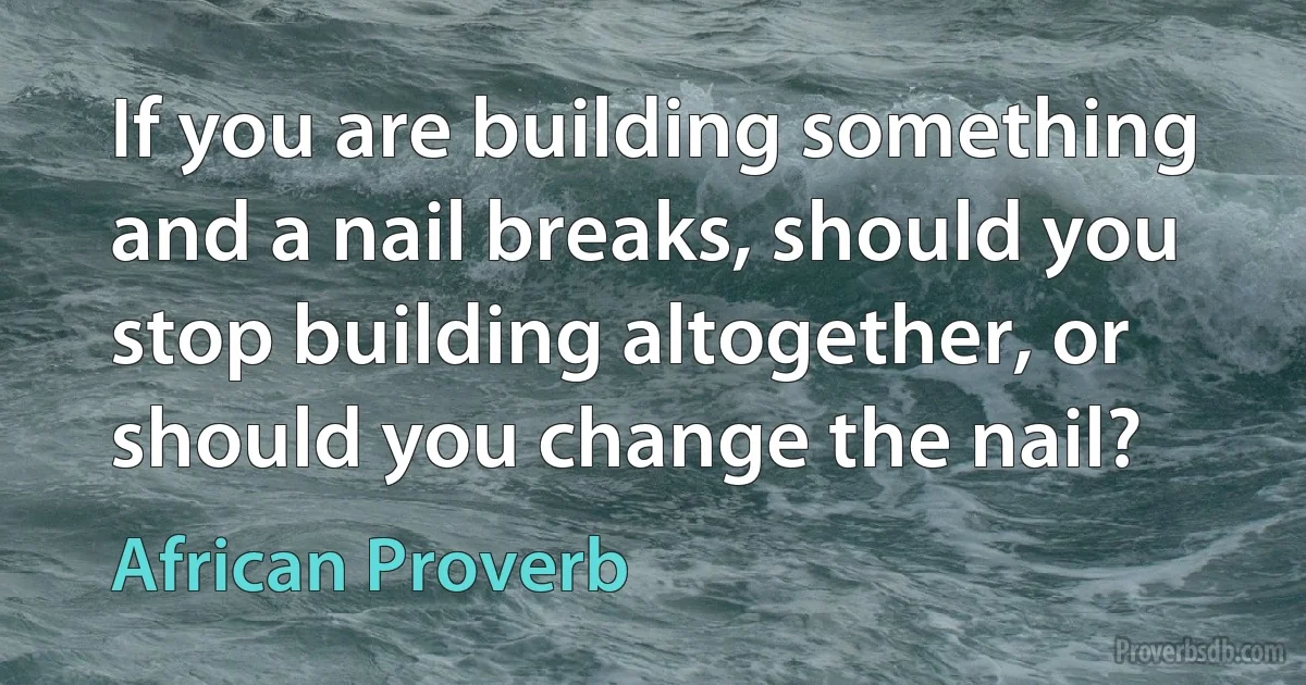 If you are building something and a nail breaks, should you stop building altogether, or should you change the nail? (African Proverb)