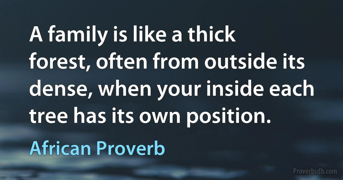 A family is like a thick forest, often from outside its dense, when your inside each tree has its own position. (African Proverb)