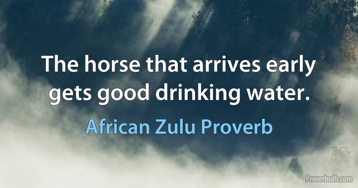 The horse that arrives early gets good drinking water. (African Zulu Proverb)