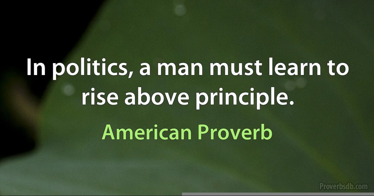 In politics, a man must learn to rise above principle. (American Proverb)