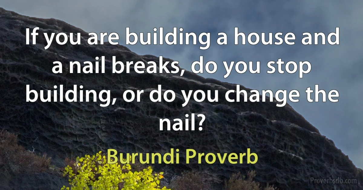 If you are building a house and a nail breaks, do you stop building, or do you change the nail? (Burundi Proverb)