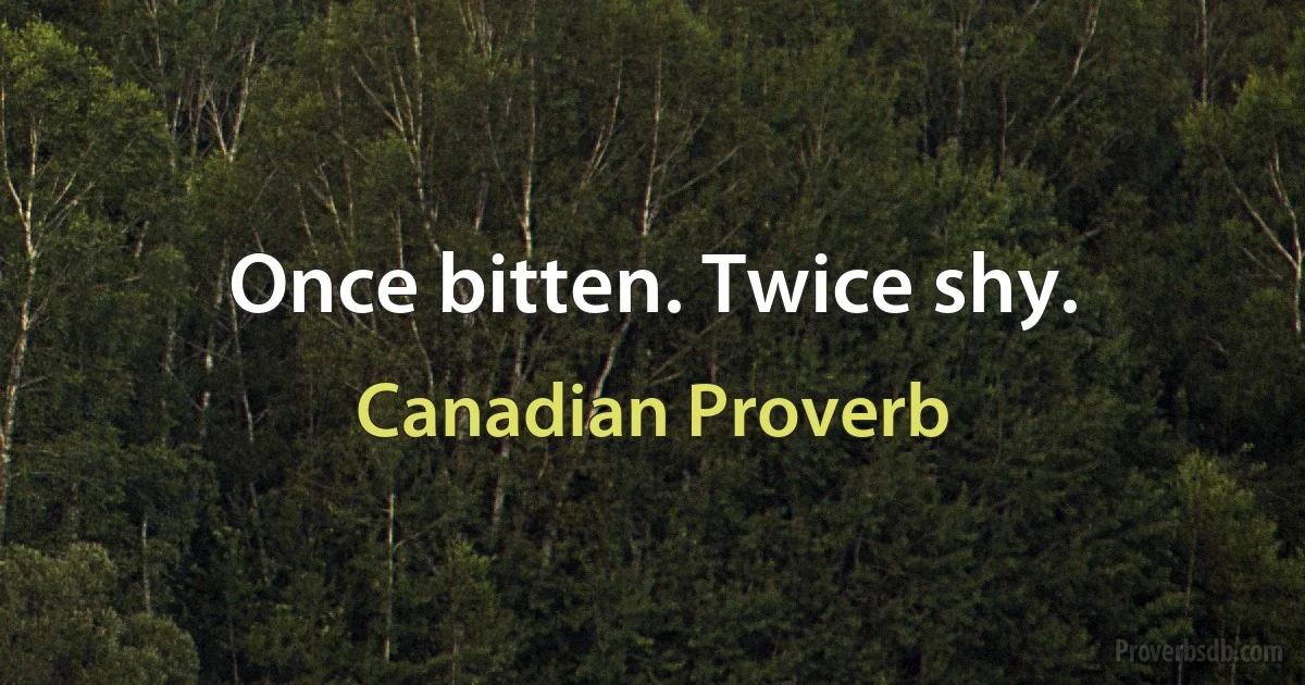 Once bitten. Twice shy. (Canadian Proverb)