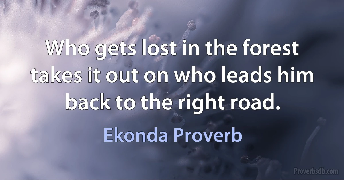 Who gets lost in the forest takes it out on who leads him back to the right road. (Ekonda Proverb)