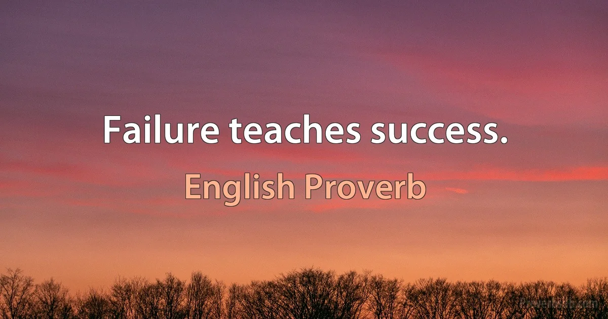 Failure teaches success. (English Proverb)