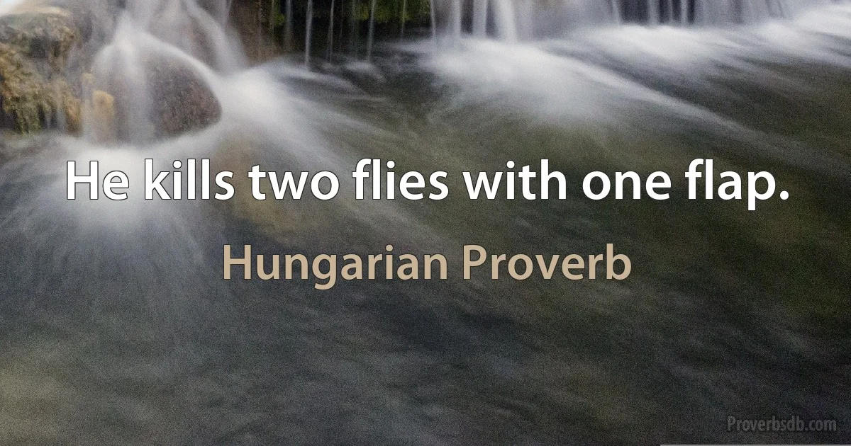 He kills two flies with one flap. (Hungarian Proverb)