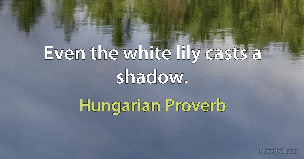 Even the white lily casts a shadow. (Hungarian Proverb)