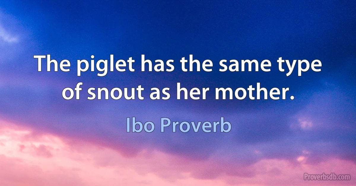 The piglet has the same type of snout as her mother. (Ibo Proverb)