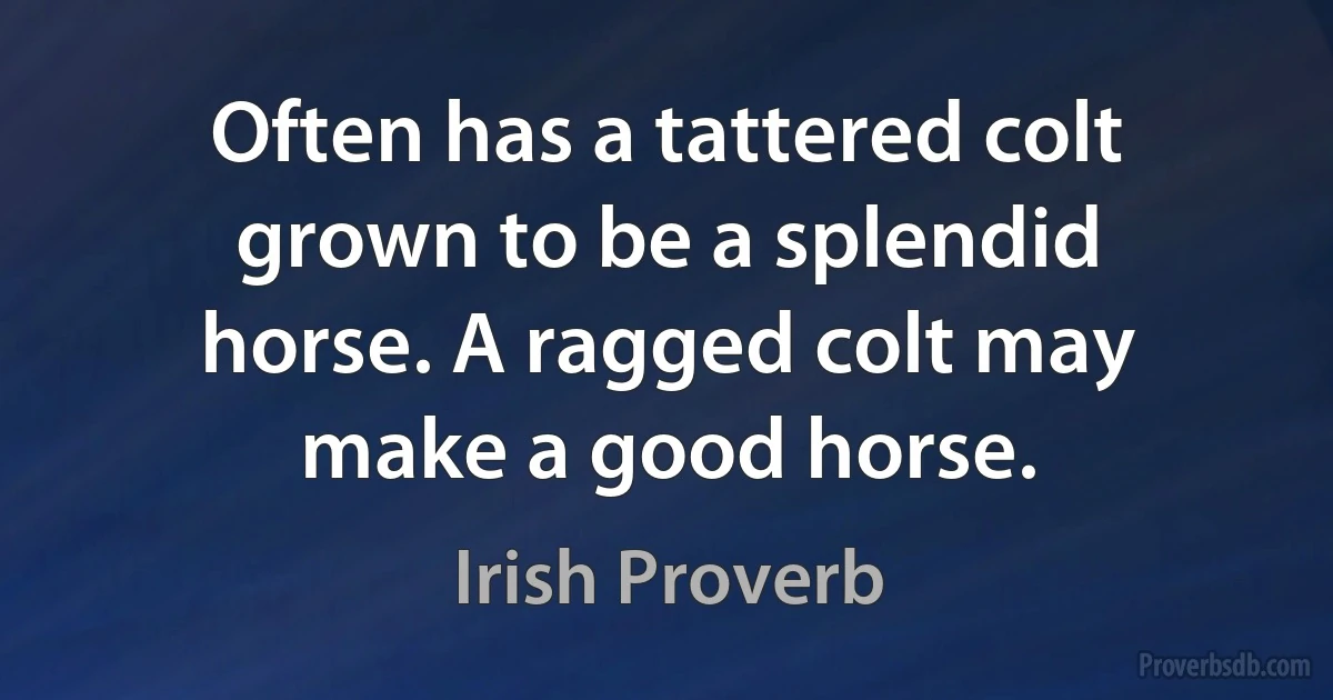 Often has a tattered colt grown to be a splendid horse. A ragged colt may make a good horse. (Irish Proverb)