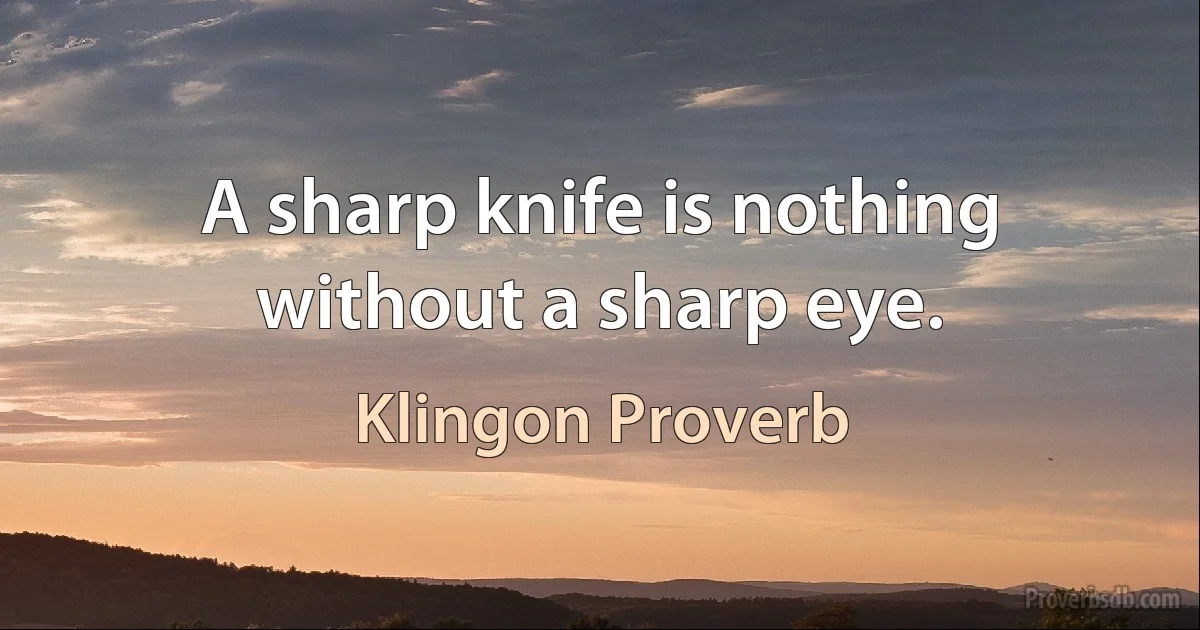 A sharp knife is nothing without a sharp eye. (Klingon Proverb)