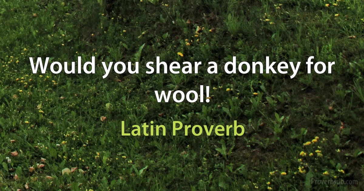 Would you shear a donkey for wool! (Latin Proverb)