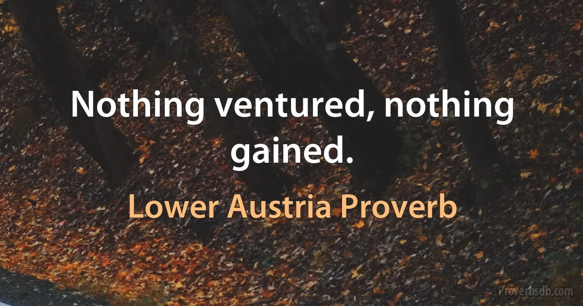 Nothing ventured, nothing gained. (Lower Austria Proverb)