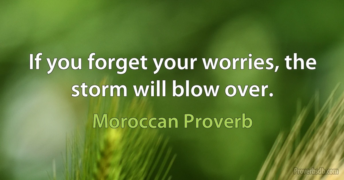 If you forget your worries, the storm will blow over. (Moroccan Proverb)