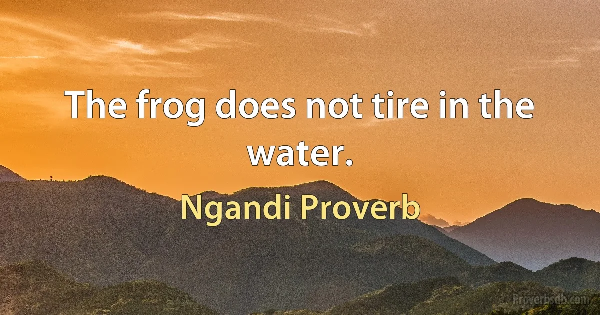 The frog does not tire in the water. (Ngandi Proverb)