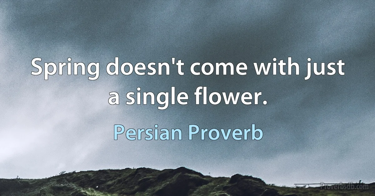 Spring doesn't come with just a single flower. (Persian Proverb)