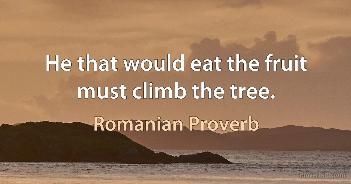 He that would eat the fruit must climb the tree. (Romanian Proverb)