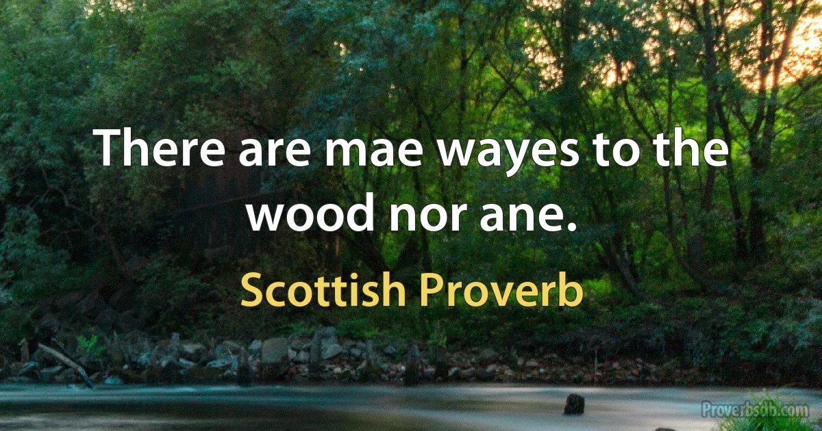 There are mae wayes to the wood nor ane. (Scottish Proverb)