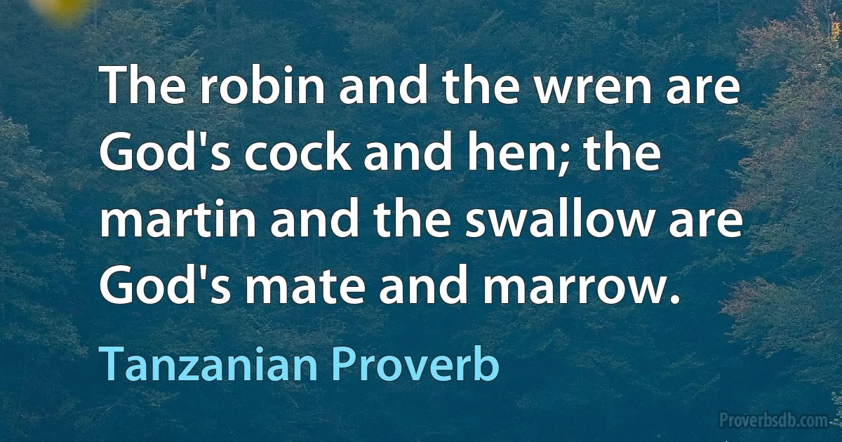 The robin and the wren are God's cock and hen; the martin and the swallow are God's mate and marrow. (Tanzanian Proverb)