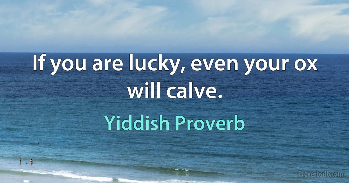 If you are lucky, even your ox will calve. (Yiddish Proverb)