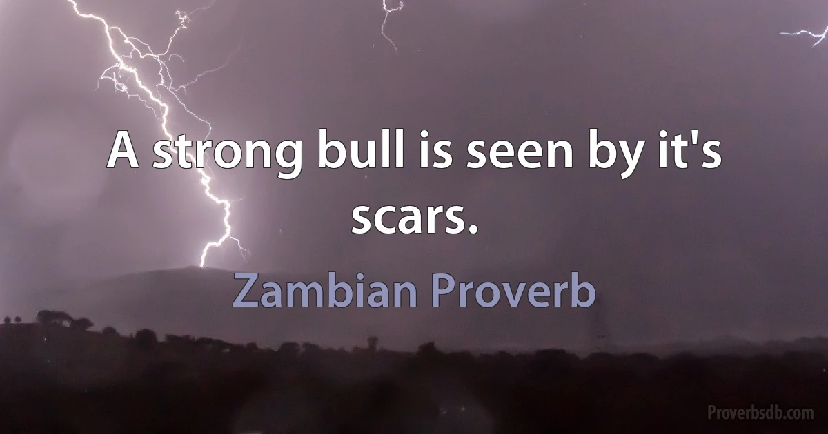 A strong bull is seen by it's scars. (Zambian Proverb)