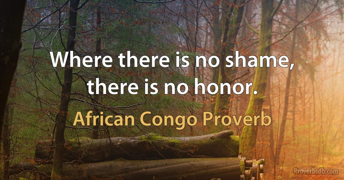 Where there is no shame, there is no honor. (African Congo Proverb)