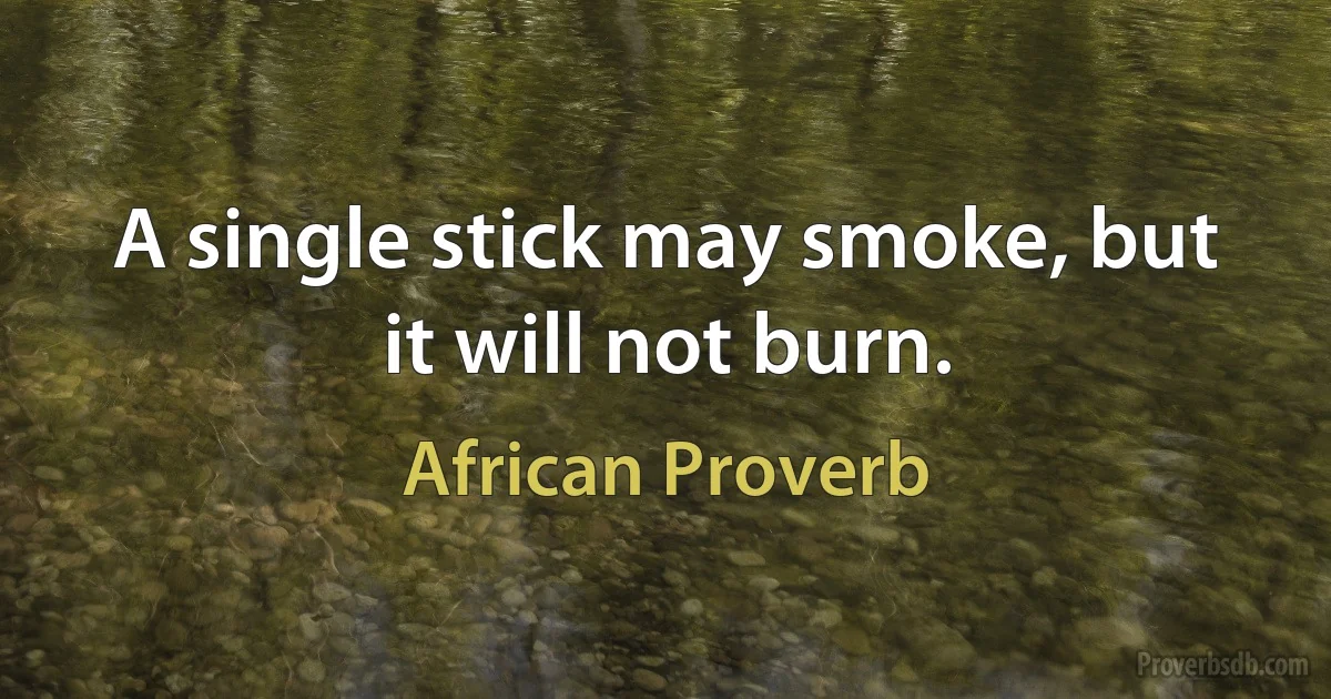 A single stick may smoke, but it will not burn. (African Proverb)