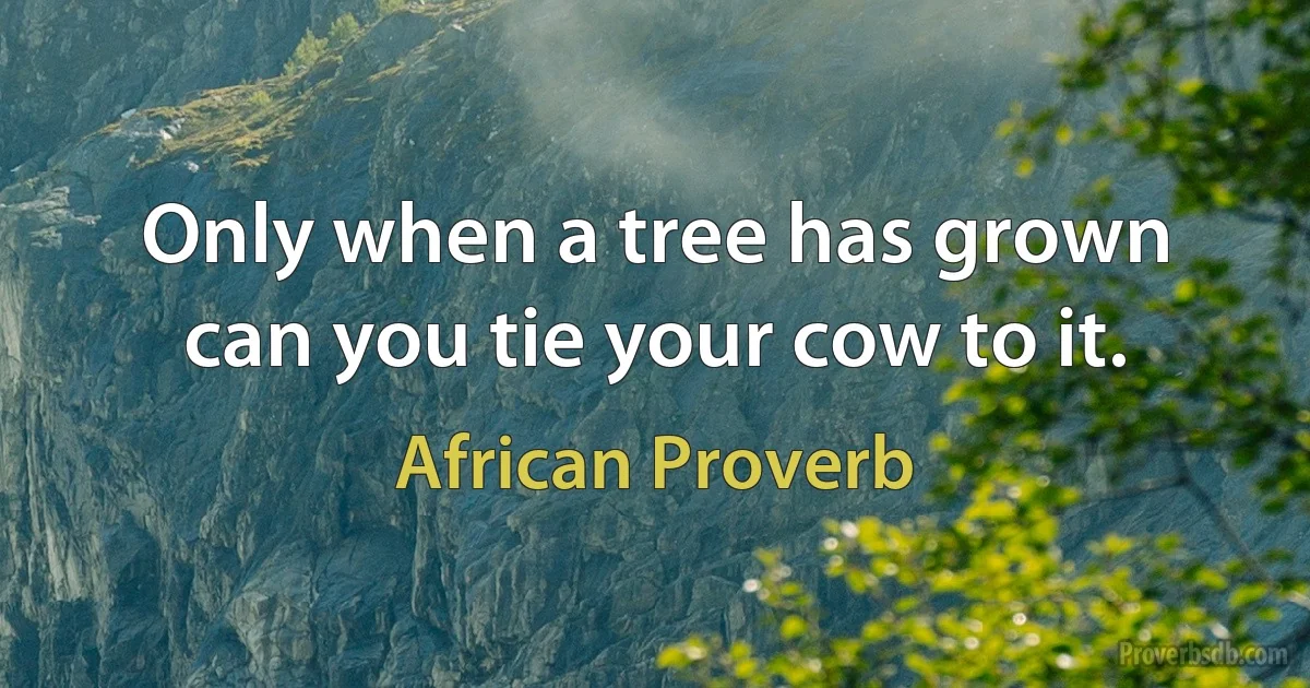 Only when a tree has grown can you tie your cow to it. (African Proverb)