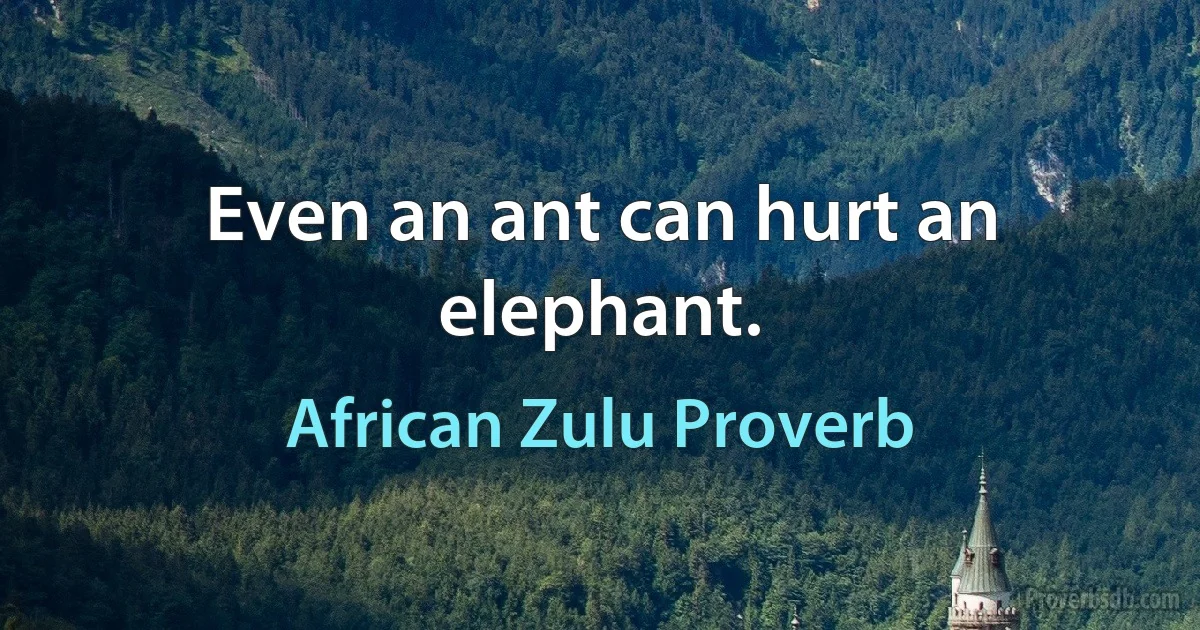 Even an ant can hurt an elephant. (African Zulu Proverb)