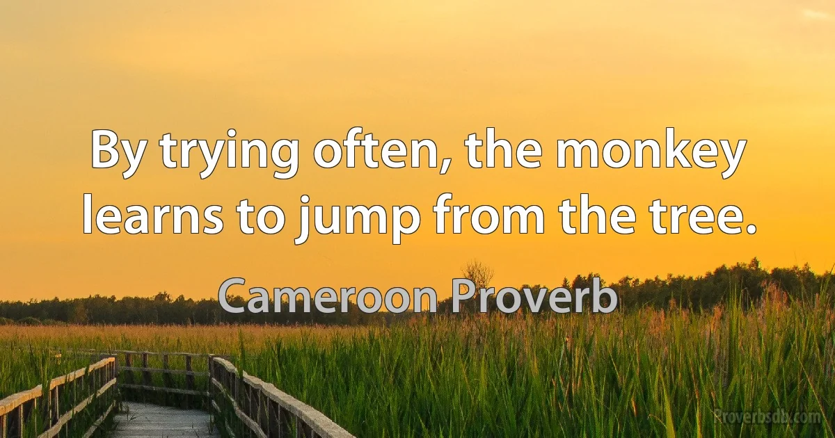 By trying often, the monkey learns to jump from the tree. (Cameroon Proverb)