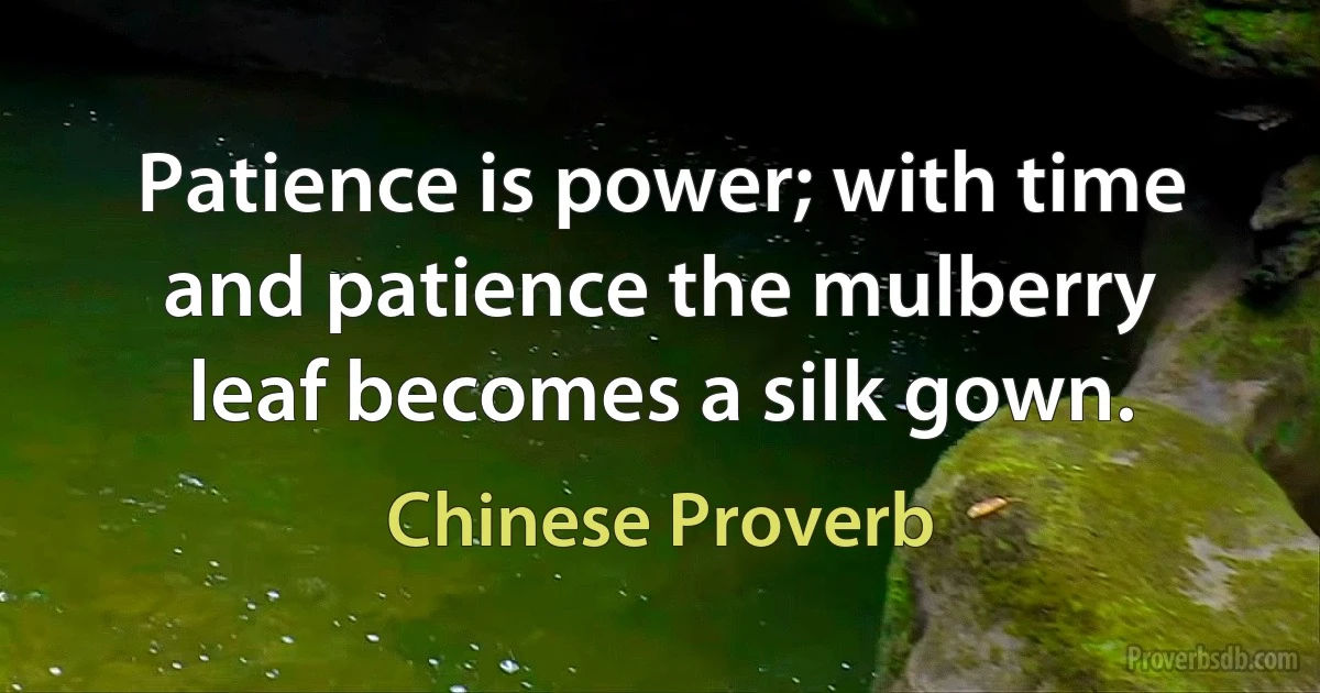 Patience is power; with time and patience the mulberry leaf becomes a silk gown. (Chinese Proverb)