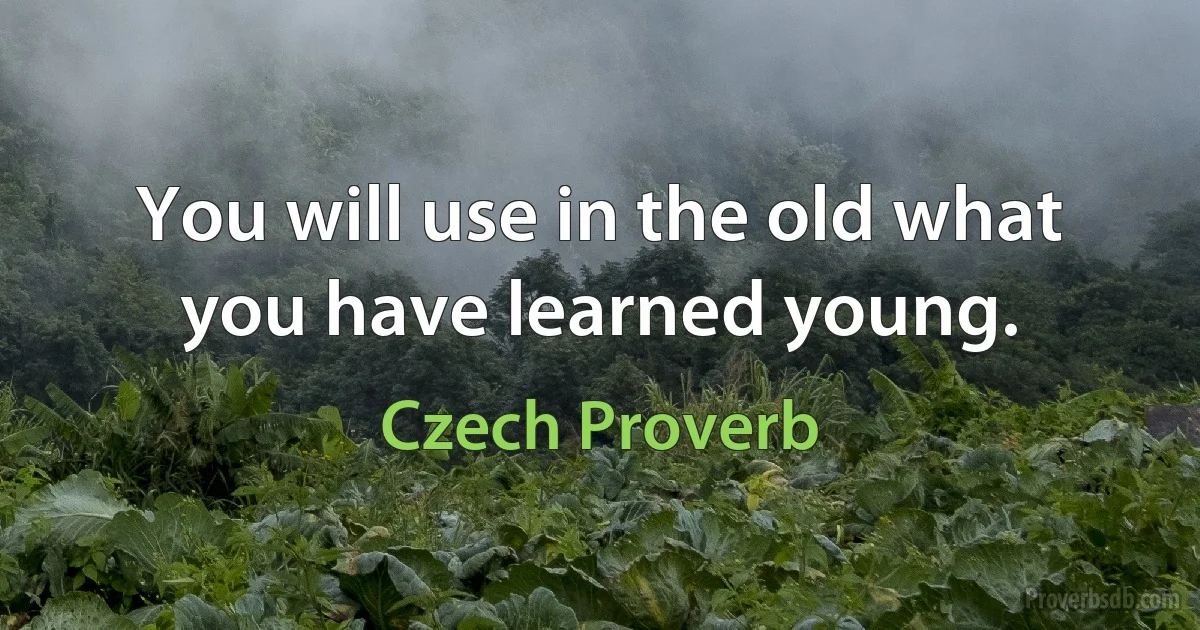 You will use in the old what you have learned young. (Czech Proverb)